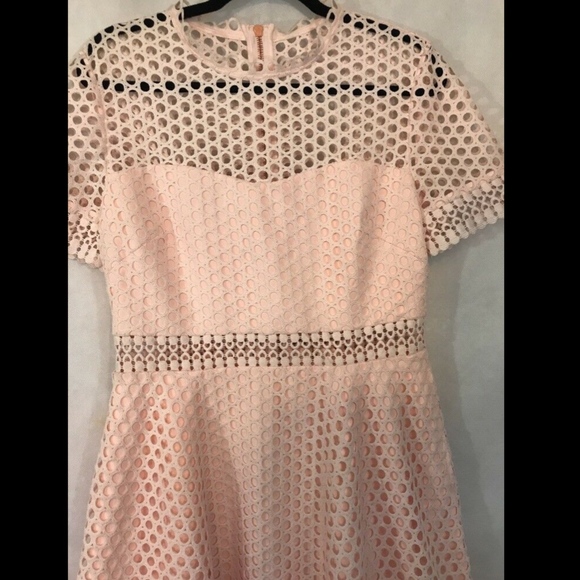 NWT Ted Baker Graycee‎ Lace Skater Dress in Nude/Pink [SZ 4 TB ] - Picture 5 of 9